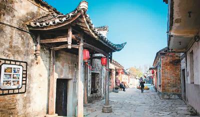 海口市美兰区政协委员崔茂毅：因地制宜发展东寨港红树林观鸟旅游产业